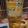 サントリー GREEN DA・KA・RA やさしいコーン茶 商品写真 5枚目