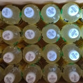 コカ・コーラ ミニッツメイド ゼロシュガー レモネード 商品写真 5枚目