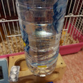 アサヒ おいしい水 からだ澄む水 無糖レモン 商品写真 2枚目