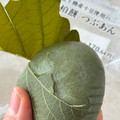 十勝大福本舗 北海道十勝産小豆使用のよもぎ柏餅 つぶあん 商品写真 2枚目