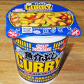 日清食品 カップヌードル 和風魚介ぶしカレー 商品写真 2枚目