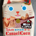 東ハト カナエルコーン 勝とうショコラ味 商品写真 2枚目