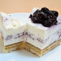 スターバックス ブルーベリーレアチーズケーキ 商品写真 4枚目