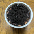 セブン＆アイ セブンプレミアム チョコミントアイス 商品写真 4枚目