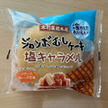 木村屋 ジャンボむしケーキ 塩キャラメル 商品写真 5枚目