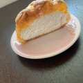 オランジェ ひかえめに言ってクリーム多めのシュークリーム 北海道ソフト 商品写真 5枚目