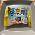 有楽製菓 ブラックサンダーひとくちサイズ ココナッツ 商品写真 2枚目