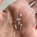 パラダイスプラン 雪塩 こつぶタイプ 商品写真 2枚目