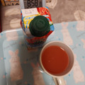 カゴメ 野菜生活100 Smoothieスイカ＆ソルティレモンmix 商品写真 4枚目