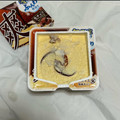 ロッテ 爽 生チョコinバニラ 商品写真 1枚目