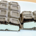 FUTABA ダンディーチョコミント 商品写真 4枚目