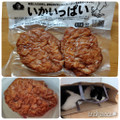 カマイチ いかいっぱい 商品写真 1枚目