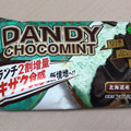 FUTABA ダンディーチョコミント 商品写真 1枚目