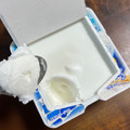 ロッテ 爽 コリぷに食感 ヨーグルト味 商品写真 5枚目