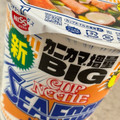 日清食品 カップヌードル シーフードヌードル 商品写真 1枚目