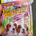 カンロ ワンワンデミーナグミ 商品写真 1枚目