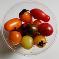 ライフ カラフルミニトマト 商品写真 3枚目