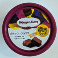 ハーゲンダッツ ガナッシュショコラ 商品写真 1枚目