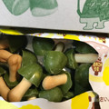 明治 きのこの山 宇治抹茶 商品写真 3枚目