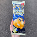 赤城 ガリガリ君リッチ ホワイトチョコチョコチョコチップ 商品写真 3枚目