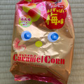 東ハト キャラメルコーン 梅味 商品写真 5枚目