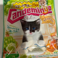 カンロ カンデミーニャグミ コネコネこねこ 商品写真 1枚目