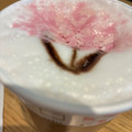 スターバックス 桜 咲くよ ラテ 商品写真 4枚目