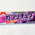 明治ガム ガブリチュウミニ グレープ味 商品写真 2枚目