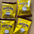 不二家 アニメちいかわカントリーマアム バニラ＆プリン味 商品写真 2枚目