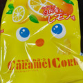 東ハト キャラメルコーン 日向夏＆レモン味 商品写真 5枚目