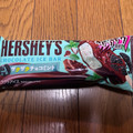 HERSHEY’S チョコレートアイスバー ザクザクチョコミント 商品写真 3枚目