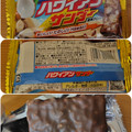 有楽製菓 ハワイアンサンダー 商品写真 1枚目