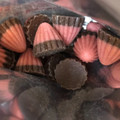明治 アポロマイスタイル 商品写真 2枚目