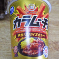 湖池屋 完全メシ カラムーチョ 辛旨！スパイスカレー 商品写真 2枚目