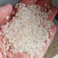 シマヤ ゆめみづほ 商品写真 4枚目