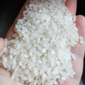 ヤマトライス 大地のみのり 商品写真 3枚目