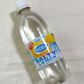 アサヒ ウィルキンソン タンサン ソルティレモン 商品写真 1枚目