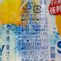 アサヒ ウィルキンソン タンサン ソルティレモン 商品写真 2枚目
