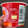 井村屋 アンナミラーズアイス ダッチアップルパイ 商品写真 1枚目