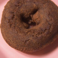 おとうふ工房いしかわ とうふドーナツココア 商品写真 2枚目