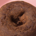 おとうふ工房いしかわ とうふドーナツココア 商品写真 3枚目