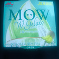 森永 MOW Wジェラート 塩バニラ＆メロン 商品写真 3枚目