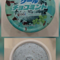 赤城 クールチョコミント 商品写真 1枚目