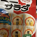 三幸製菓 ミニサラダ えびしお味 商品写真 5枚目