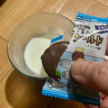 不二家 カントリーマアムチョコまみれザ・ワールド アラスカ編 商品写真 5枚目
