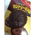 不二家 チョコで包んだカントリーマアム 商品写真 5枚目