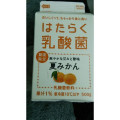 日清ヨーク はたらく乳酸菌夏みかん 商品写真 2枚目