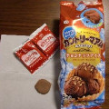 不二家 凍らせてもおいしいカントリーマアム チョコナッツアイス 商品写真 2枚目