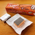 UHA味覚糖 ぷっちょ スティック KIRIMIちゃん 塩じゃけ味 商品写真 2枚目