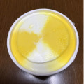 江崎グリコ 牧場しぼり 柑橘ジェラート＆ミルク 商品写真 2枚目